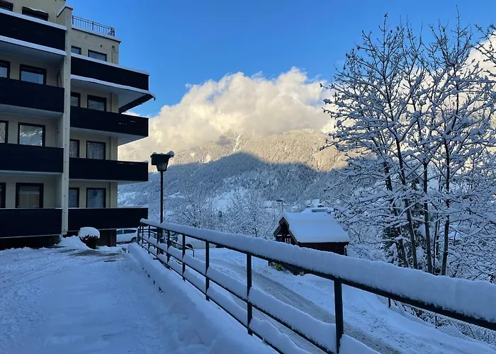 Appartement Grenzberg 20 Bad Gastein